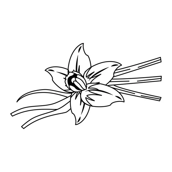 Flores natureza desenho isolado em preto e branco — Vetor de Stock