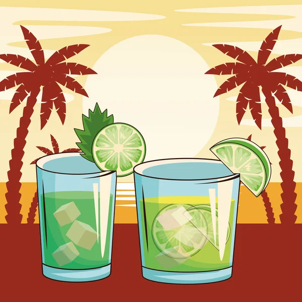 Alcoholic drinks beverages cartoon — Stock Vector