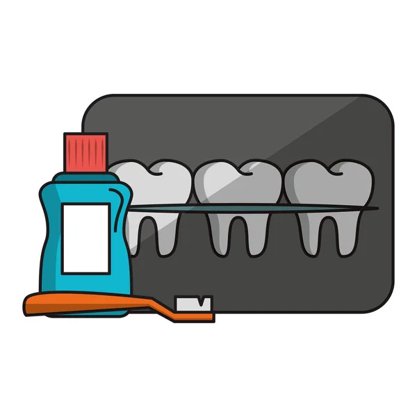 Dental care health and hygiene — Stock Vector