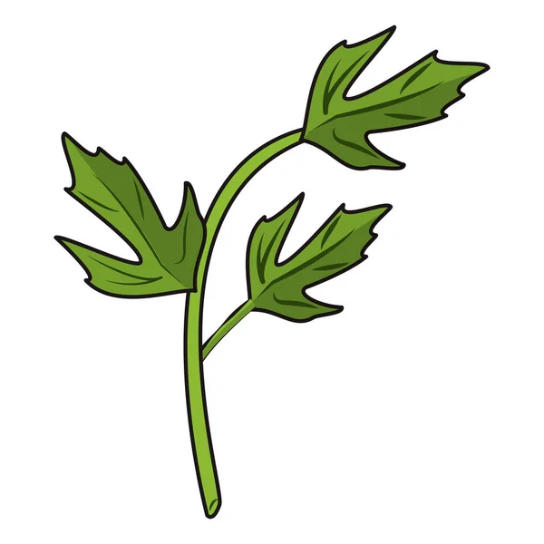 El cilantro deja dibujos animados a base de hierbas — Archivo Imágenes Vectoriales