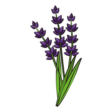 Çiçekler doğa çizim izole