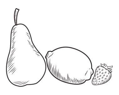 Taze meyve beslenme sağlıklı siyah beyaz el çizilmiş