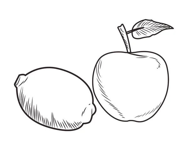 Friss gyümölcs táplálkozás egészséges fekete-fehér kézzel rajzolt — Stock Vector