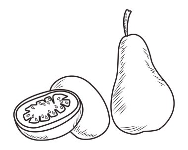 Taze meyve beslenme sağlıklı siyah beyaz el çizilmiş