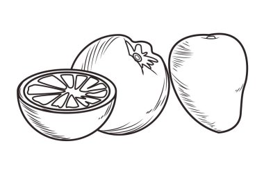 Taze meyve beslenme sağlıklı siyah beyaz el çizilmiş