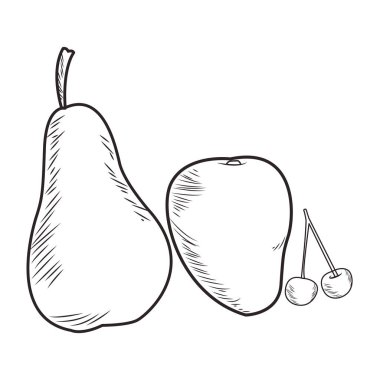 Taze meyve beslenme sağlıklı siyah beyaz el çizilmiş