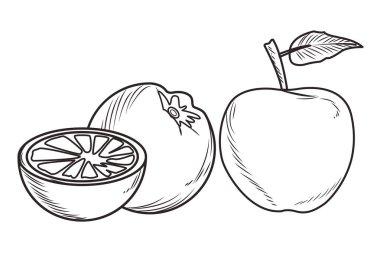 Taze meyve beslenme sağlıklı siyah beyaz el çizilmiş