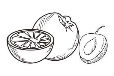 Taze meyve beslenme sağlıklı siyah beyaz el çizilmiş