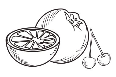 Taze meyve beslenme sağlıklı siyah beyaz el çizilmiş