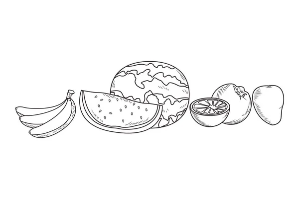 Frutta fresca nutrizione sana disegnato a mano in bianco e nero — Vettoriale Stock