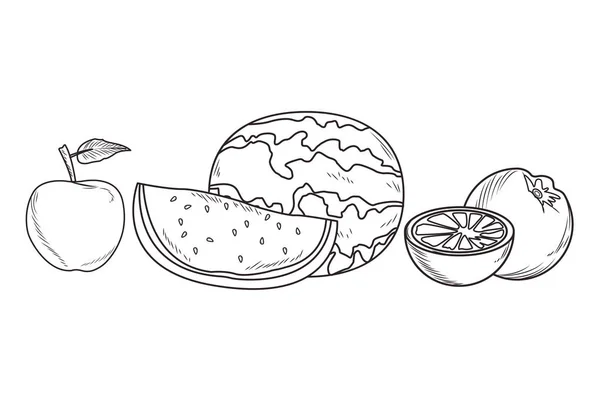 Fruits frais nutrition saine noir et blanc dessiné à la main — Image vectorielle