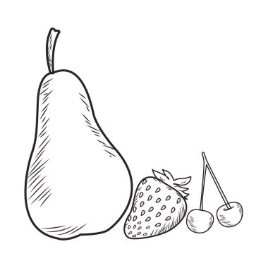 Taze meyve beslenme sağlıklı siyah beyaz el çizilmiş