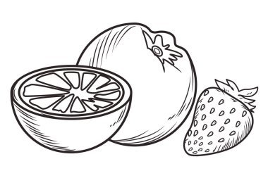 Taze meyve beslenme sağlıklı siyah beyaz el çizilmiş