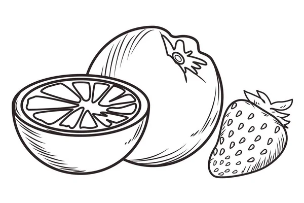 Taze meyve beslenme sağlıklı siyah beyaz el çizilmiş