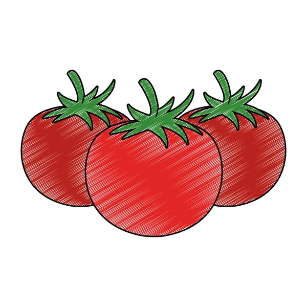 Tomates legumes frescos rabiscar — Vetor de Stock