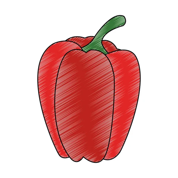 Pimienta garabato verduras frescas — Vector de stock