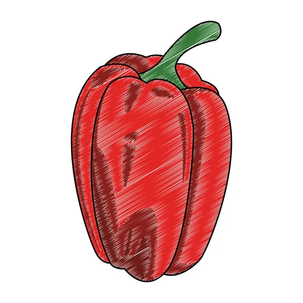 Pepper legumes frescos rabiscar — Vetor de Stock