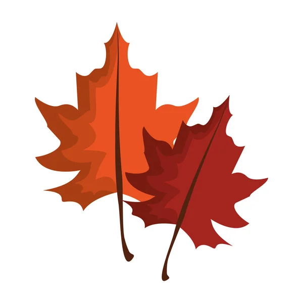 Herfst bladeren symbool cartoon geïsoleerd — Stockvector
