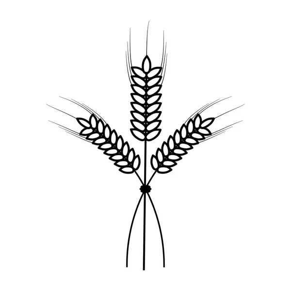 Foglie di grano simbolo alimentare in bianco e nero — Vettoriale Stock