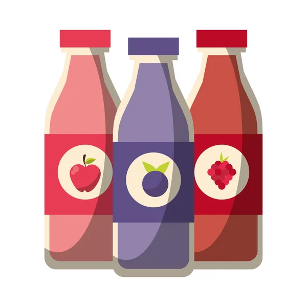 Fruits juices bottles vector illustration — Stock Vector