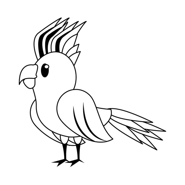 Dibujos animados exóticos de aves tropicales aislados en blanco y negro — Vector de stock