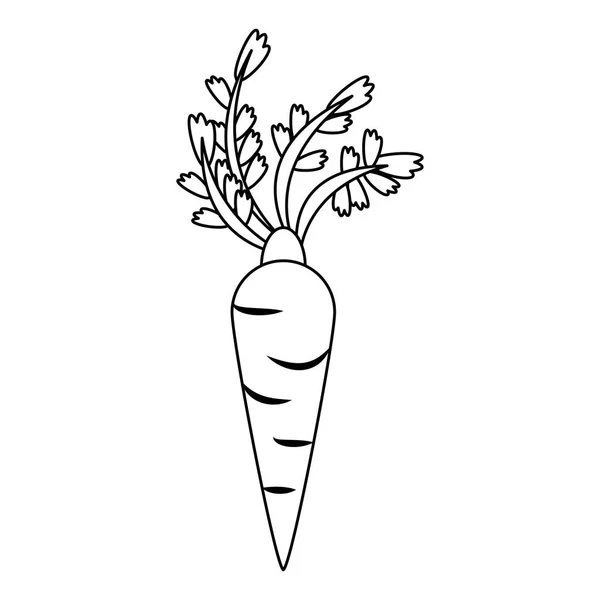 Caricatura de alimentos saludables vegetales de zanahoria en blanco y negro — Vector de stock