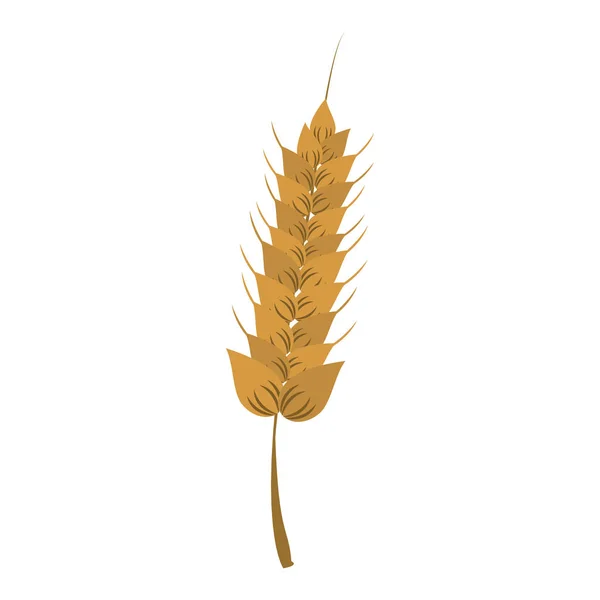 Пшеничний рослинний здоровий харчовий мультфільм — стоковий вектор