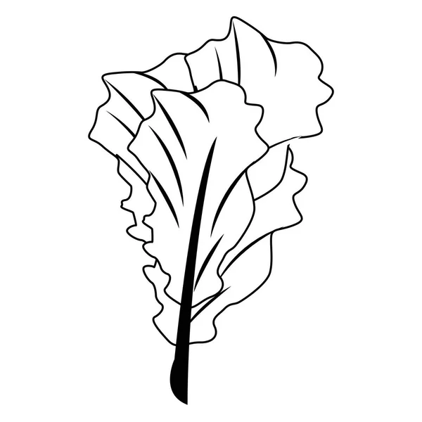 Feuille d'épinards légumes alimentation saine bande dessinée en noir et blanc — Image vectorielle