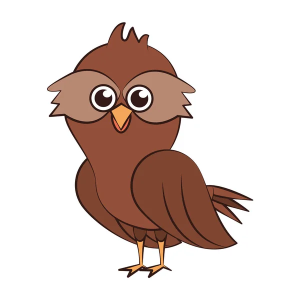 Coruja exótico pássaro animal desenhos animados — Vetor de Stock