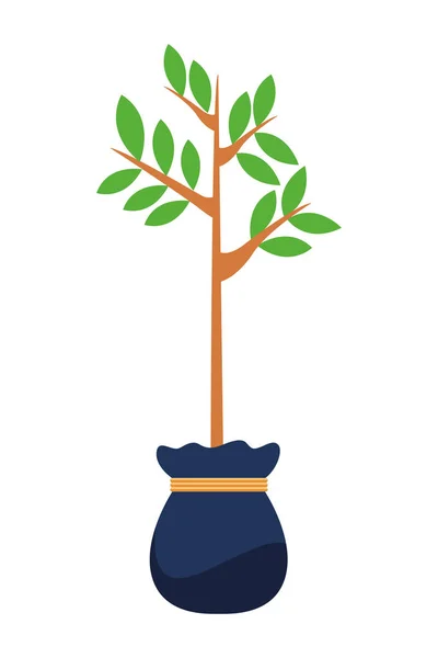 Pequeño árbol que crece de bolsa de cultivo — Vector de stock