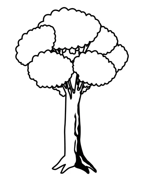 Ícone de árvore folhosas e preto e branco — Vetor de Stock
