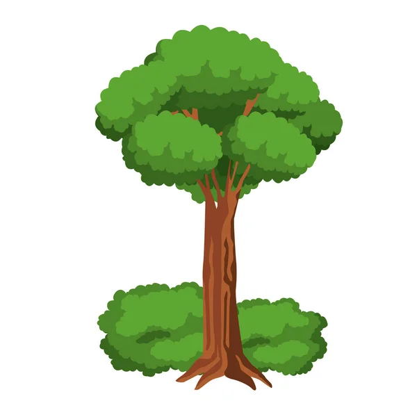 Yapraklı ağaç ve shruberry simgesi — Stok Vektör