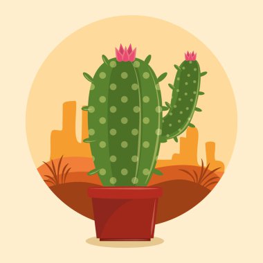 Çöl manzarası üzerinde kaktüs sulu pot