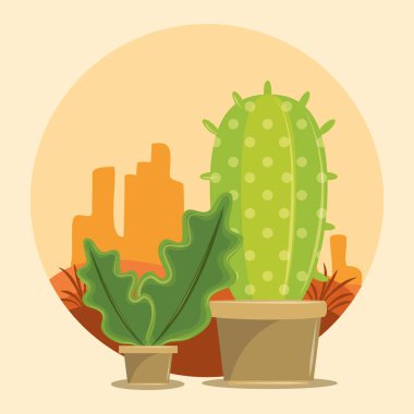 Desertscape iki Kaktüs sulu pot