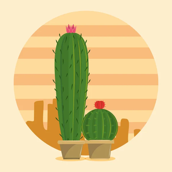 Deux cactus pot succulent sur désert — Image vectorielle