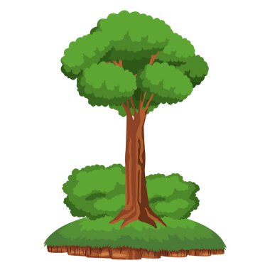 toprak parçası üzerinde ağaç ve shruberry