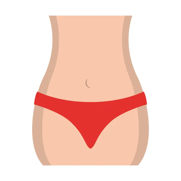 Woman body abdomen isolated — Stock Vector