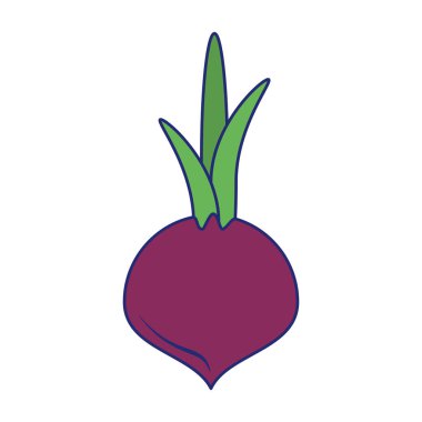 Soğan taze sebze mavi hatları