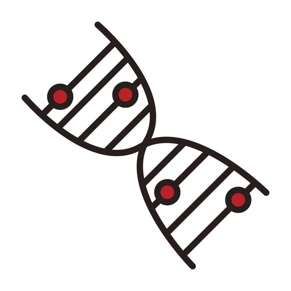 İnsan DNA'sı simgesi — Stok Vektör