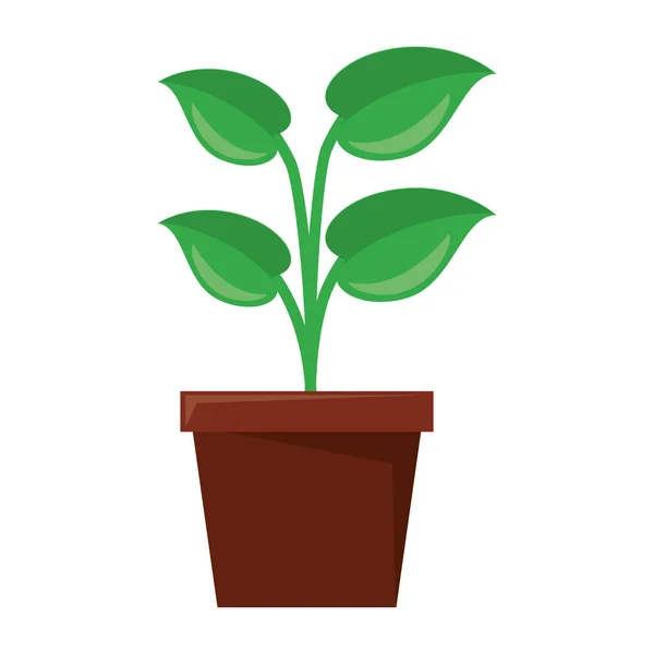 Plante pot dessin animé isolé — Image vectorielle