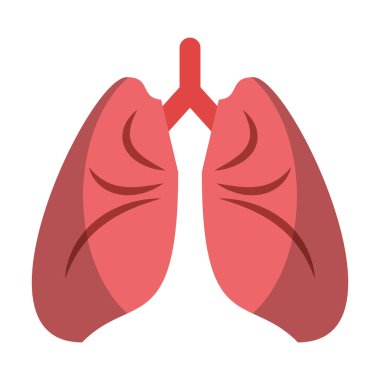 İnsan akciğerlerkarikatür izole