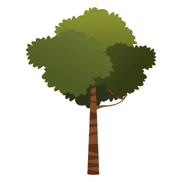 Φυλλώδες δέντρο εικονίδιο κινούμενα σχέδια απομονωμένα — Διανυσματικό Αρχείο
