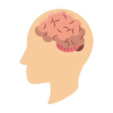 Beyin sembolü ile insan kafası silueti