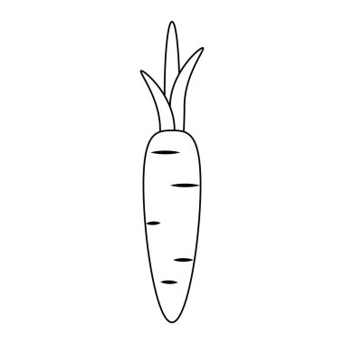 Havuç taze sebze siyah beyaz