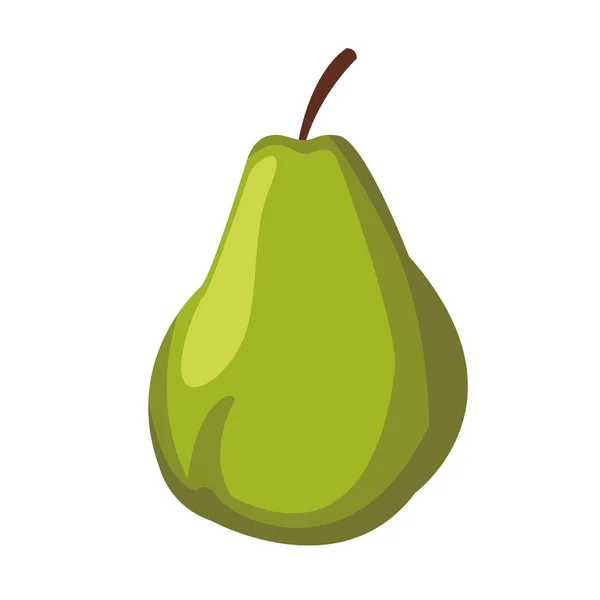 Fruto de pera aislado — Vector de stock