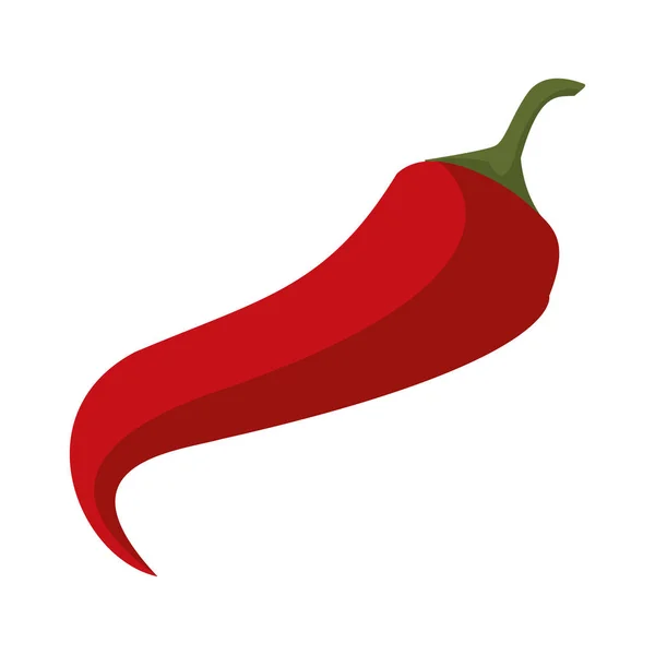 Chili épicé légumes nourriture isolé dessin animé — Image vectorielle