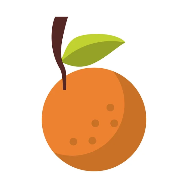 Frutas cítricas laranja desenhos animados alimentos isolados — Vetor de Stock