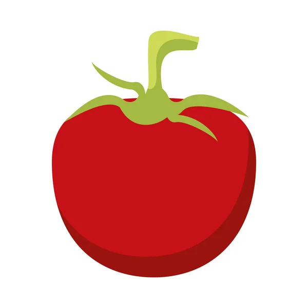 Paradicsom friss növényi élelmiszer-rajzfilm — Stock Vector