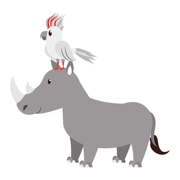 Oiseau exotique sur la faune rhinocéros dessin animé animal mignon — Image vectorielle