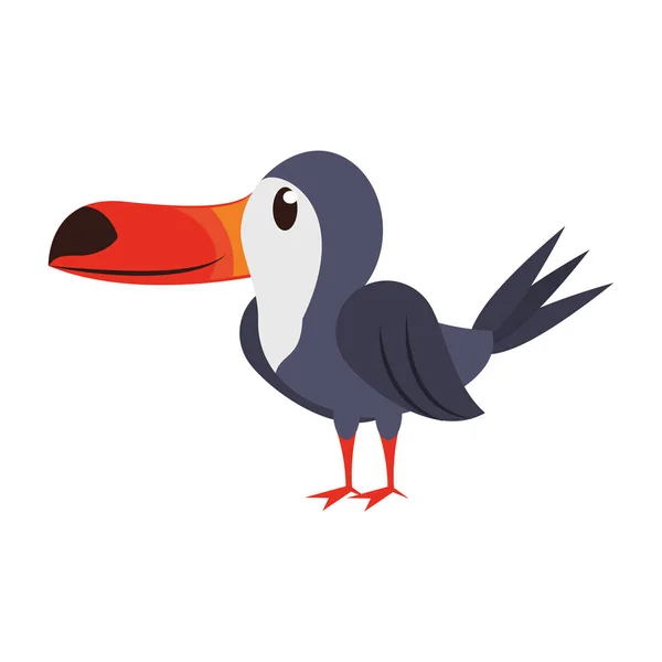 Tucan εξωτικά πουλί ζώο κινούμενα σχέδια — Διανυσματικό Αρχείο
